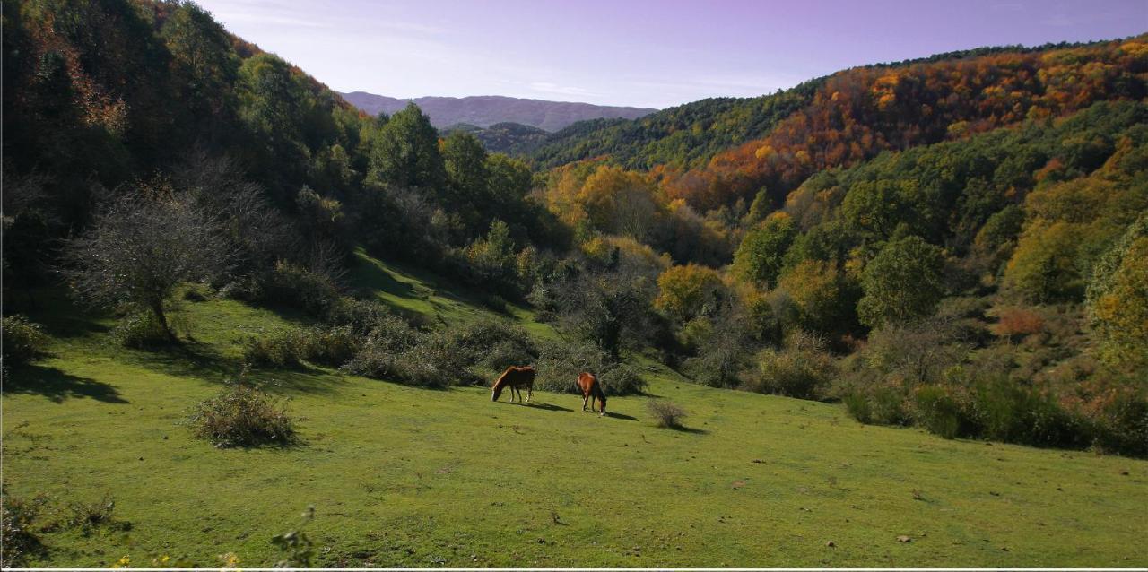 Hotel Restaurante El Ventos Sant Felíu de Pallarols Kültér fotó